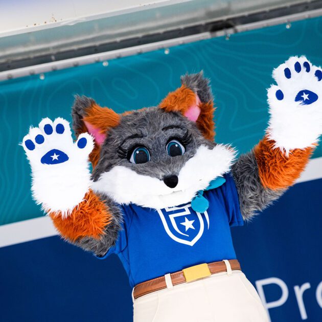 image of mascot blaze waving